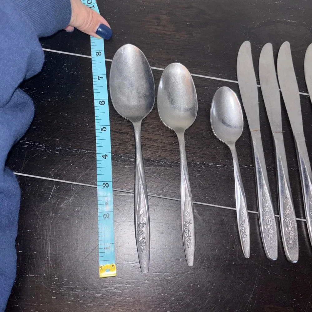 Superior Stainless USA | RADIANT ROSE Set | 4 Spoons, 2‎ tsp, 6 Knives, 1 Fork